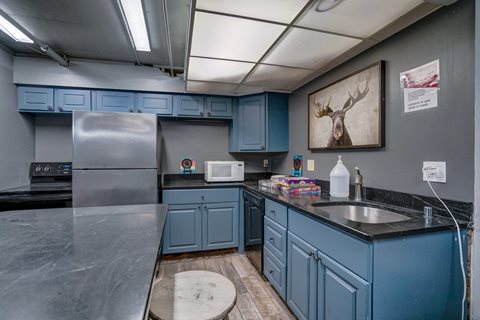 Surf and Surfside apartments and townhomes in Downtown Madison, WI. Fully Furnished, studio, one bedroom, 2 bedroom. Lake views. Managed by Wisconsin Management Company